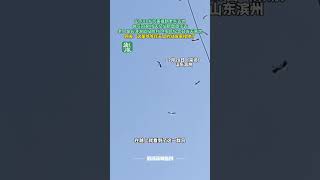 山东88岁抗美援朝老兵去世 骨灰回家时 天空仙鹤盘旋 转自抖音：青新视频