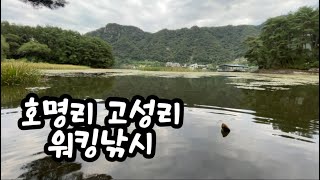 북한강 포인트 필드상황에 맞게 공략하기