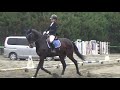 2017.11.18 第68回全慶應義塾対全早稲田馬術定期戦 第1競技 jfe馬場馬術競技l1課目2013 大森実穂 慶隆号