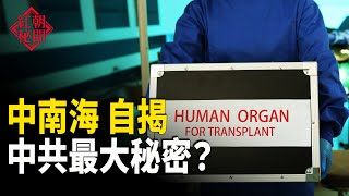 中南海二人組謀推翻中共？不能揭的蓋子要打開 江家人傳出事 中共外交官遭拒入境立陶宛    【紅朝秘聞】