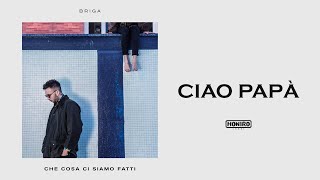 BRIGA - 03 - CIAO PAPA'