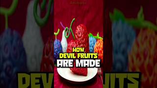 How Devil Fruit Get Reborn After The Users Death | One Piece Episode 1077 Explained