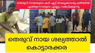 തെരുവുനായ ശല്യത്തിൽ കൊട്ടാരക്കരയും എഴുക്കൊണും.