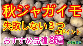 【ジャガイモ】秋にオススメの品種3選　春に比べて失敗しやすい秋にジャガイモを植える際の注意点３つを解説！