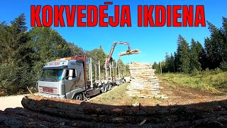 KOKVEDĒJA IKDIENA ! PĀRDOMAS PAR DARBU,DZĪVI,BĒRNĪBU ! KOKVEDĒJA PIEDZIVOJUMI #7