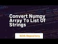 convert numpy array to list of strings