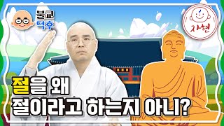 절을 왜 절이라고 하는지 아니? - 불교덕후_세가불 2-1