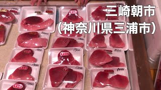 【三浦/Miura】三崎朝市/Misaki Moning Market