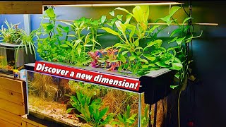 Transform your aquarium into a LUSH OASIS