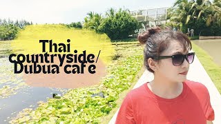 Thai countryside/തായ്ലൻഡ് ഗ്രാമ ദൃശ്യങ്ങൾ/Dubua Cafe/Life in Thailand