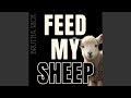 Feed My Sheep