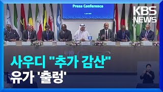 “더 감산” 사우디, “감산 유지” OPEC+…유가 상승 우려 / KBS  2023.06.05.