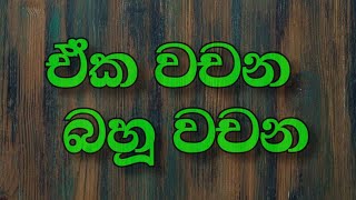 ඒක වචන බහූ වචන