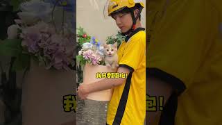 【#一只又廷】怪不得今天的七夕外卖超时了！#小奶猫 #外卖小哥 #七夕