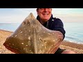 seatown small eyed ray