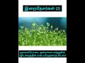 இறைநேசர்கள் 2 மர்ஹூம் அல்லாமா அய்யம்பேட்டை ஜியாவுத்தீன் மன்பயீ ஹள்ரத் கிப்லா அவர்களின் பயான்