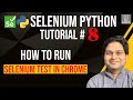 Selenium Python Tutorial #8 - How to Run Selenium Test in Chrome