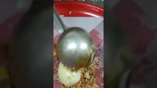 customer vlog Kunda biryani #pot #biryani #satyam #satyamvlogs #satyampotbiryani #wirallyfood