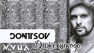 DONTSOV – Дуже Шкода  (офіційне аудіо)