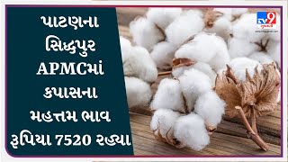 Mandi : પાટણના સિદ્ધપુર APMCમાં કપાસના મહત્તમ ભાવ રૂપિયા 7520 રહ્યા | APMC | GUJARAT | #Tv9D