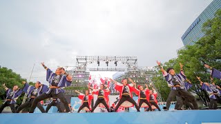 [4K] しなの大和　にっぽんど真ん中祭り 2019 どまつり 土曜日