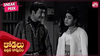 NTR's super hit comedy scenes | Kodalu Diddina Kapuram | Telugu | Savitri | Vanisri | SUN NXT