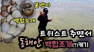 조개‼️ 바다 동해안에서 백합조개가 잡힌다고❓떡 조개❓ 트위스트로 잡아 조개 칼국수 해먹자( lily shell , kalguksu )