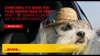 Sharing Economy Logistics - Dog Teaser