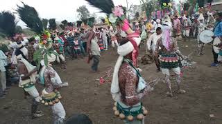 Indian Tribal Rare Dance Footage Video Nandurbar Traditional Adivasi Dance Lifestyle