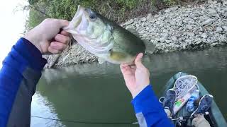 Bass fishing on the lake | Hellgrammite is just too good! | Kayak Fishing