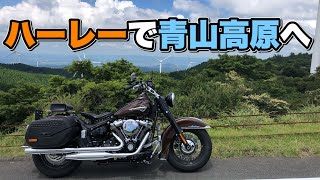 【insta360】ハーレに乗って青山高原へツーリング【モトブログ】