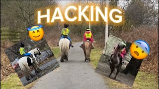 Hacking with a very sassy pony