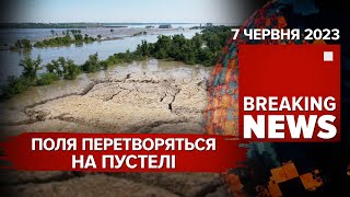 Гинуть тварини, поля перетворюються на пустелі - наслідки підриву на Каховській ГЕС. Як реагує світ?