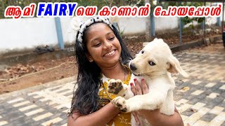 ആമി FAIRY യെ കാണാൻ പോയപ്പോൾ  : Fairy new kennel review : Flywell media : Life of Fairy