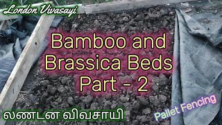 Brassica Beds: Part 2 | London Vivasayi 🌸 #london #urbanfarming  #permaculture #visitlondon