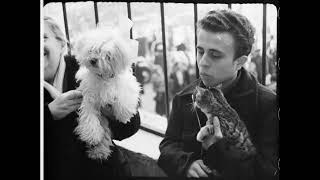Blessing of Animals in Rome on St Anthony Abbot Day (1949, HD)