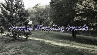 Strange Whistling Sounds - מחוז אורנג', צפון קרוליינה