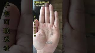 156 #掌纹的秘密 #掌纹 #手掌纹 #手纹 #手纹 成功线