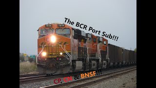 Trackside on the BC RAIL Port sub at Colebrook BC