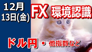 【TAKA FX】ドル円他各通貨の環境認識解説。各種指数、GOLDなど　12月13日(金)