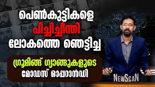 പെണ്‍കുട്ടികളെ പിച്ചിച്ചീന്തി ലോകത്തെ ഞെട്ടിച്ച ഗ്രൂമിങ്ങ് ഗ്യാങ്ങുകളുടെ മോഡസ് ഓപ്പറാന്‍ഡി