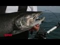 Great Lakes Trolling for Salmon | Rapala Fishing Tips