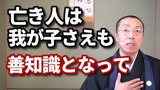 亡き人は、我が子さえも、善知識となって。　ショート法話(165)