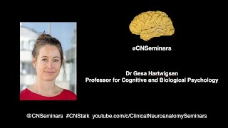 #CNStalk - Probing flexible neural network recruitment with neurostimulation  - Gesa Hartwigsen