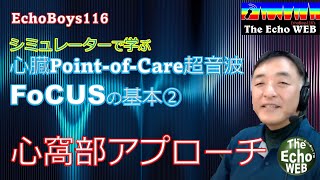 心臓Point-of-Care超音波（FoCUS）の基本②　心窩部アプローチ