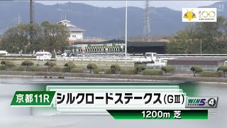 京都11R 第30回シルクロードステークス（GⅢ）