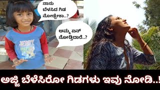 ಡೈಲಿ vlog ನನ್ನ ಮಗಳು ನಮ್ಮ ಮನೆ ಸುತ್ತ ಇರೋ ಗಿಡಗಳ ಪರಿಚಯ ಮಾಡ್ತಾಳೆ ನೋಡಿ| Kannada Vlogs |