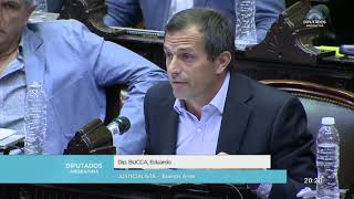 Diputado Bucca Eduardo  -2da. Intervención - Sesión 29-01-2020 - PL