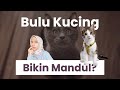 APAKAH PELIHARA KUCING BIKIN MANDUL? Mitos atau Fakta? | dr. Vania Utami