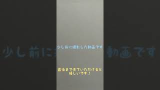 【ポコダン】ゴッドラッシュ1なんとも言えない感じに、、